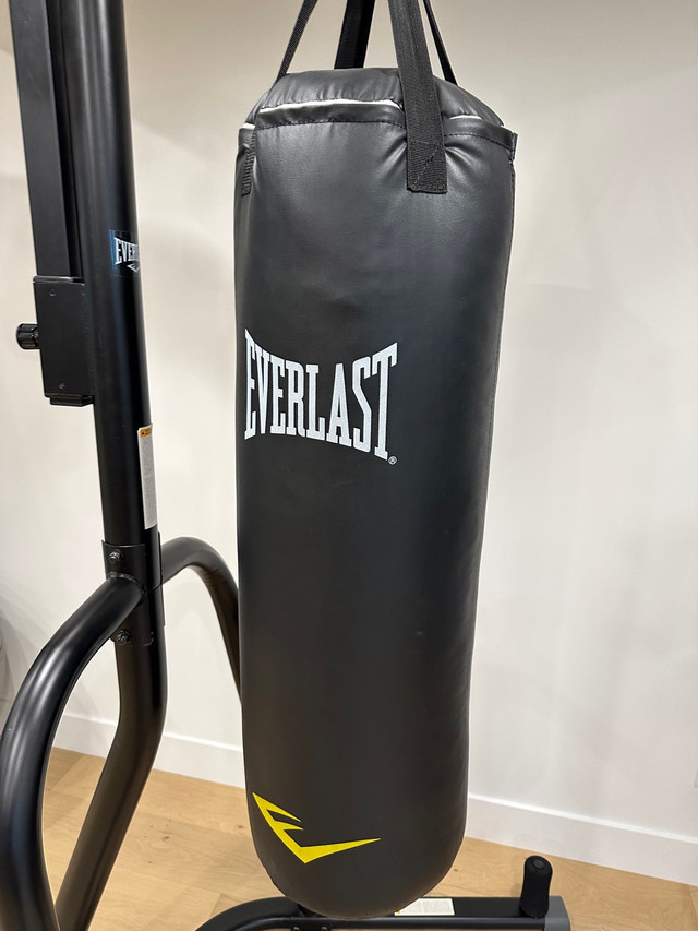Everlast Heavy Bag and Adjustable Speed-bag Stand in Exercise Equipment in Edmonton - Image 2