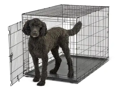 LARGE Dog Cage (Excellent Condition), View more