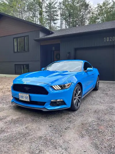2017 Ford Mustang EcoBoost | Grabber Blue | 94,000 km | SAFETIED It’s time for this Mustang to find...