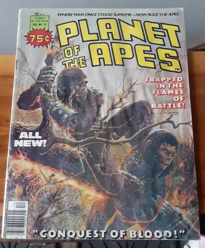 Publisher: Curtis under Marvel Dec 1976 Marvel Comics released a number of titles, the longest-lived...