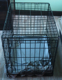 Dog Kennel and Dog Bed For Sale