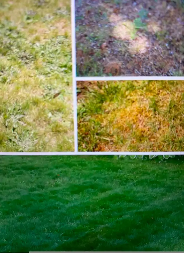 Custom Interlock Art For Flat Surfaces or Walls in Interlock, Paving & Driveways in Markham / York Region - Image 21