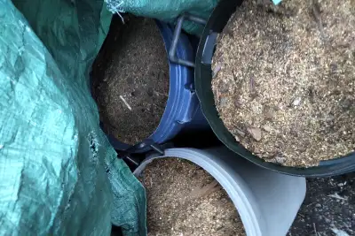 Natural Hardwood Sawdust For Free (compost/ gardening), View more
