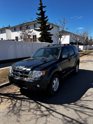 2008 Ford Escape XLT