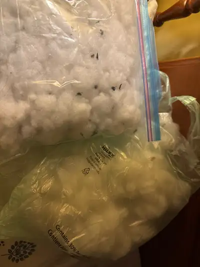 Stuffing from dog toys, View more