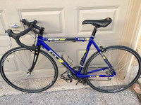 Adult Road bike Seriesfour GTR $1500