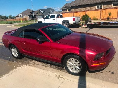 2007 Ford Mustang Convertible For Sale.