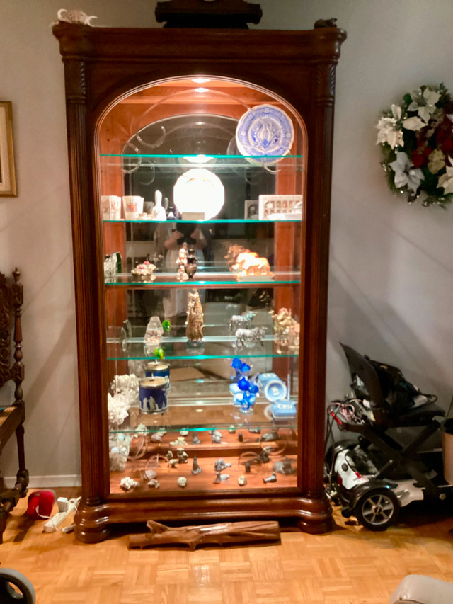 Beautiful lighted cabinet in Hutches & Display Cabinets in Peterborough