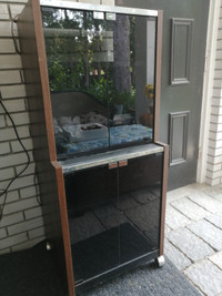 4 ft. tall AV Wooden Cabinet with glass doors for only $25.