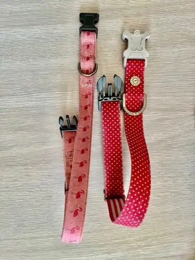 Dog Collars $15 each, View more