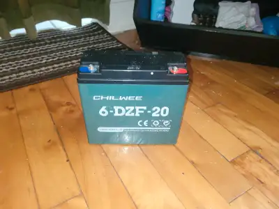 Batteries 2X20$