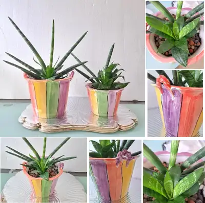 HOUSEPLANTS, View more