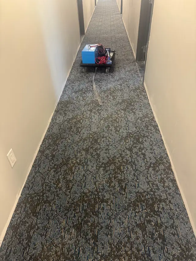  CARPET INSTALLATION 521699859377039361
