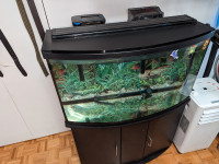Aquarium + meuble/furniture - 48 gallons 