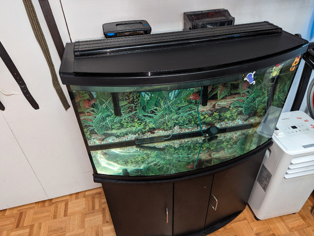 Aquarium + meuble/furniture - 48 gallons  dans Accessoires  à Ville de Montréal