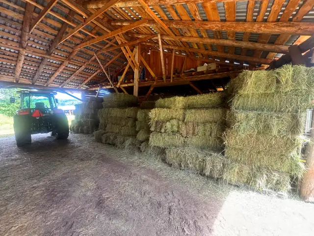 Square hay bales for sale