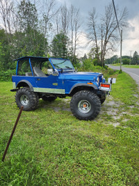 Jeep cj-7 1979 (buggy)