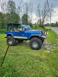 Jeep cj-7 1979 (buggy)