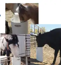 Livestock/Equine Drinking post waterer No power!