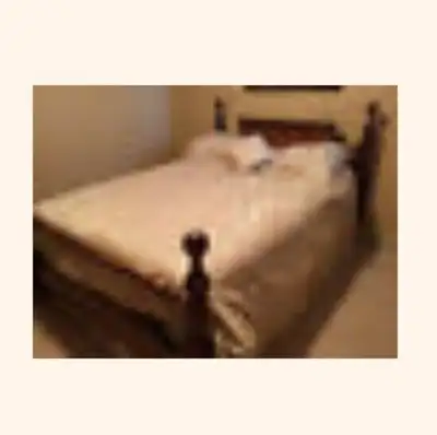 Quilt Bed in a Bag, Bed Skirt Pillow Shams & Small Pillow QUEEN, View more