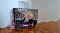 Cage à rongeurs tout équipée NEUVE---Fully equipped rodent cage