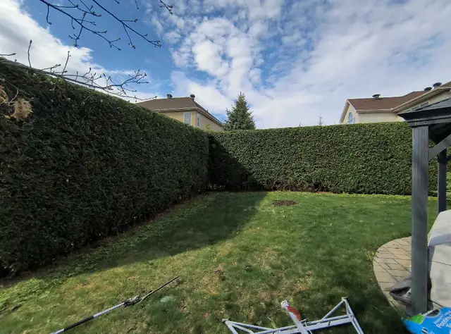 Precision Hedge and Landscaping Inc62863718888834123
