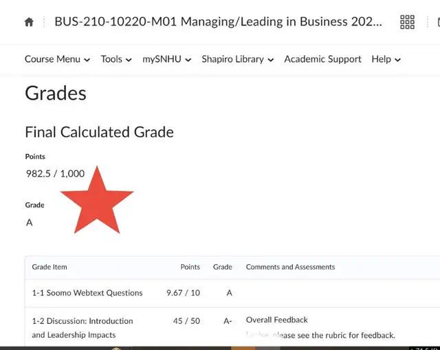 Online Class & Exam Help – Nursing, Essays, Assignments64396548240771121