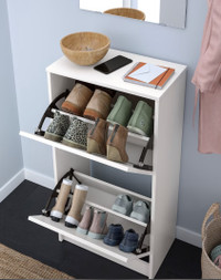 Shoe cabinet with 2 compartments