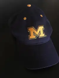 Michigan Wolverines Adult Curved Snapback Hat