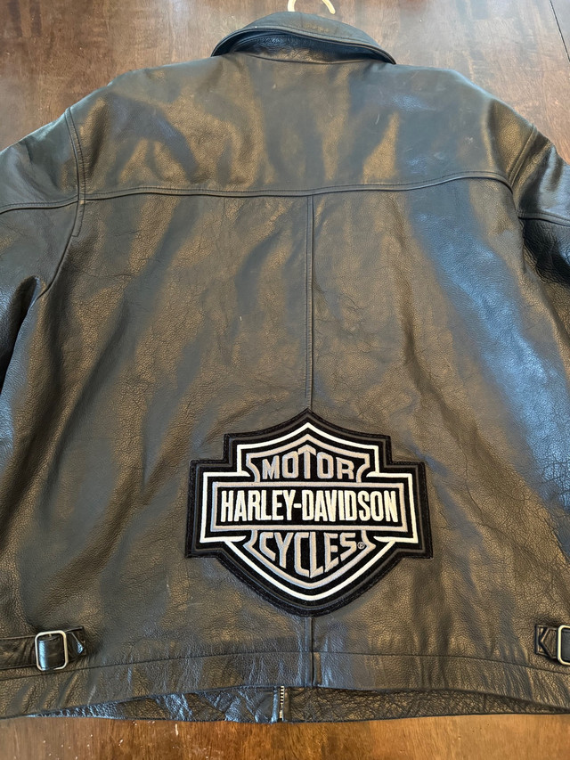 Genuine leather GAP jacket with Harley Davidson patches in Men's in Tricities/Pitt/Maple - Image 3