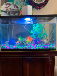 New 5 gallon Glofish led aquarium