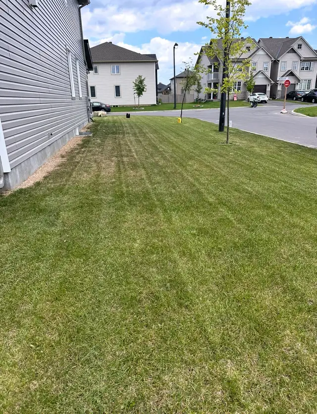 Lanw mowing services 464149116555120640