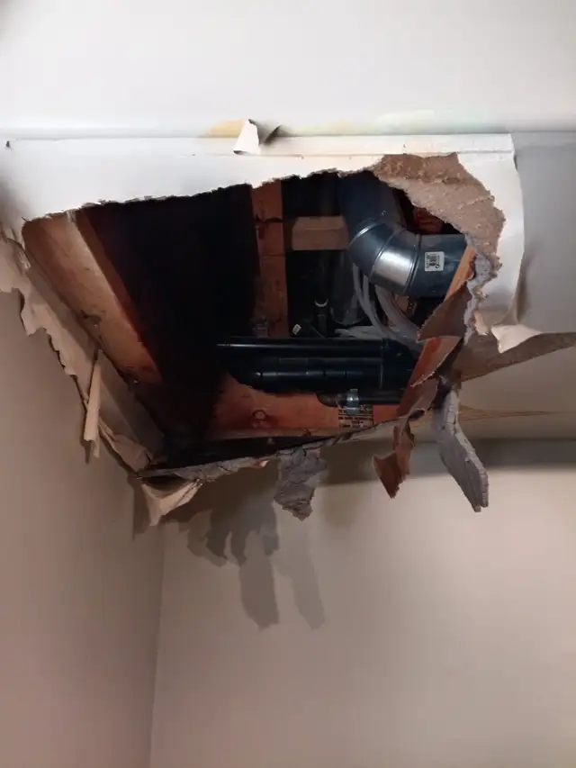 Painting & Drywall Repair in Painters & Painting in Edmonton - Image 5