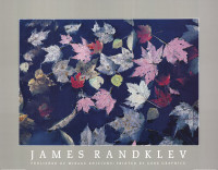Pool of Leaves by James Randklev-