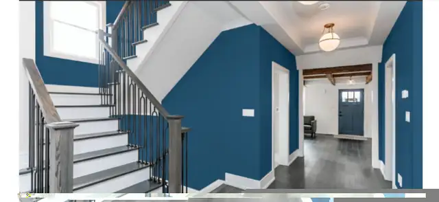 Fresh Layers  Co.64623143693697120