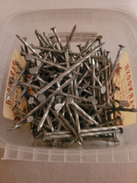 galvanized framing nails