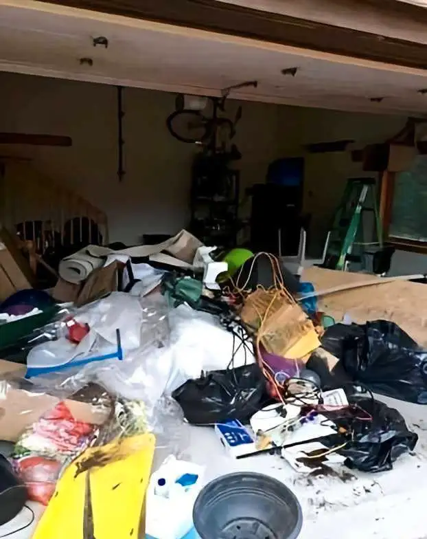 Affordable Junk Removal & Garbage Removal/Delivery's63581888114689123