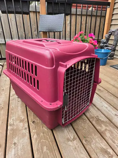 Petmate Medium Dog Carrier, View more