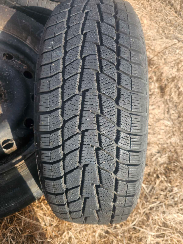 Winter tires on steel rims in Tires & Rims in Strathcona County - Image 2