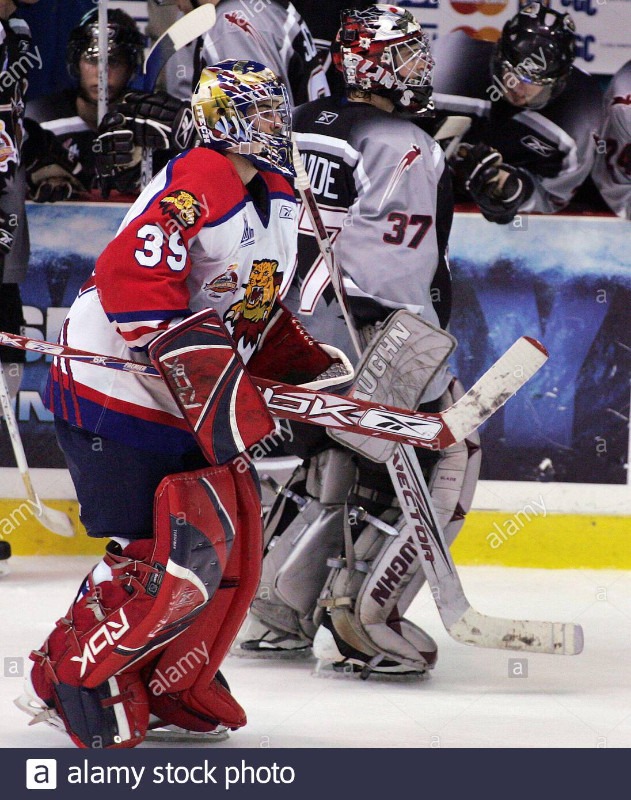 WANTED: Moncton Wildcats Game Worn Goalie Jerseys in Arts & Collectibles in Moncton