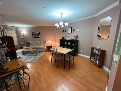 A furnished or non-furnished (optional) bedroom is available. Prefer a student or full-time working...