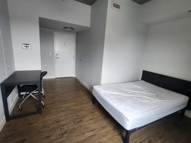 Room in 5 bedroom apartment for lease STUDENTS ONLY in Room Rentals & Roommates in Kitchener / Waterloo - Image 2