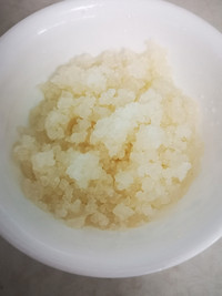 Water kefir grains - tibicos