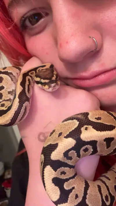 I have been working with exotic animals for many years now and would love to care for your pets well...