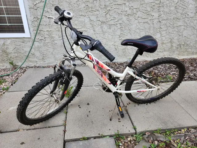 Mountain Bicycle in Mountain in Edmonton - Image 2