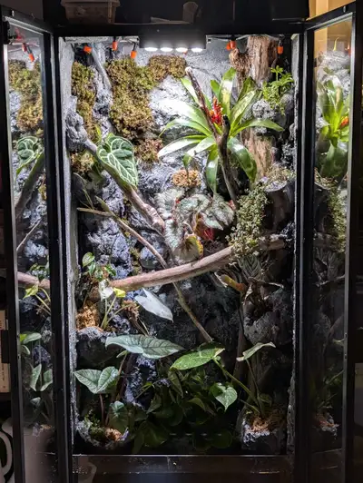 Hi there! Looking for a unique centerpiece for your home or a custom habitat for your reptiles, amph...