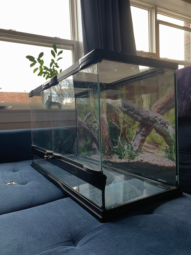 DOUBLE LOCK 20 GAL TERRARIUM in Reptiles & Amphibians for Rehoming in City of Halifax