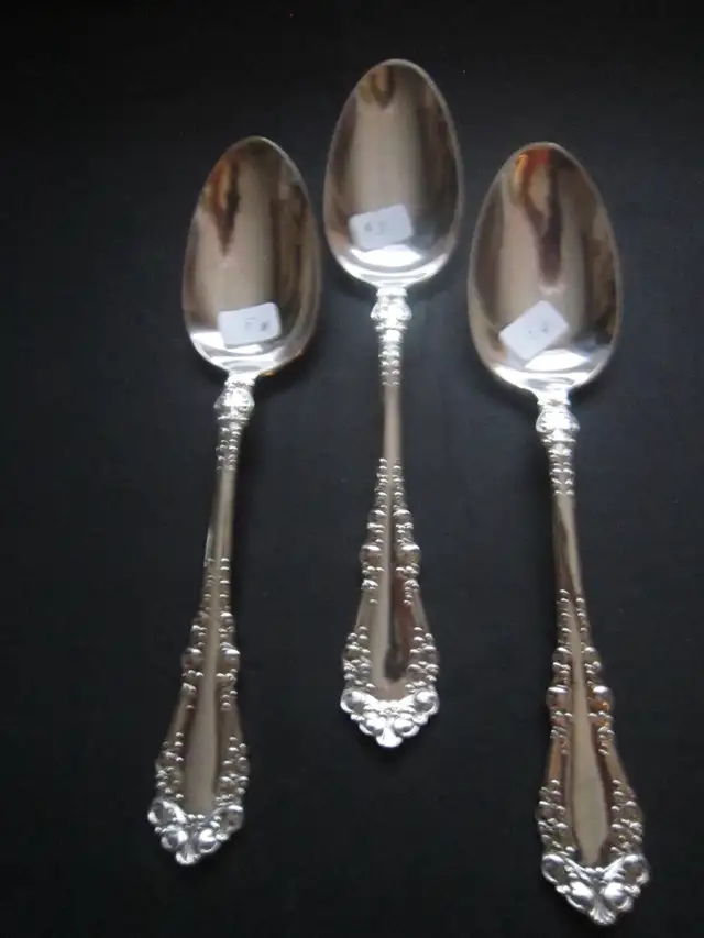 Exquisite Serving Spoons64684040009217122