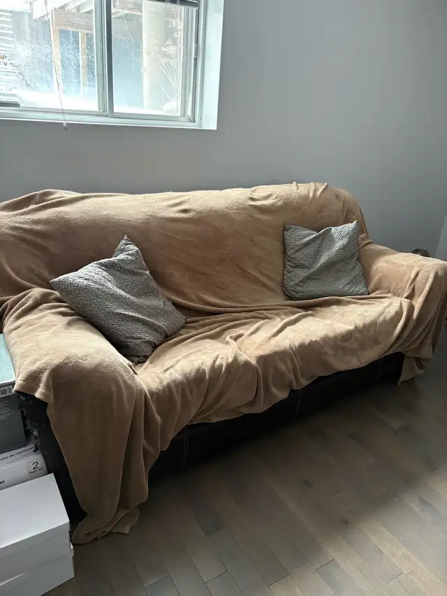 sofa set65198307576323123