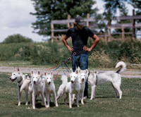 Doggy Daycare